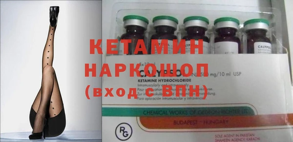 прущие грибы Абинск