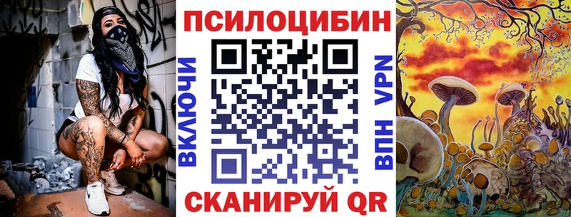 KRAKEN как войти  Благовещенск  Псилоцибиновые грибы мицелий 